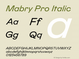 Mabry Pro Italic Version 2.001图片样张