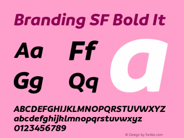 Branding SF Bold It Version 1.000;hotconv 1.0.109;makeotfexe 2.5.65596 Font Sample