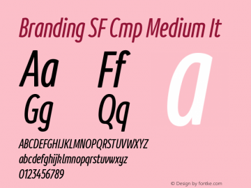 Branding SF Cmp Medium It Version 1.000;hotconv 1.0.109;makeotfexe 2.5.65596 Font Sample