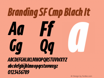 Branding SF Cmp Black It Version 1.000;hotconv 1.0.109;makeotfexe 2.5.65596 Font Sample