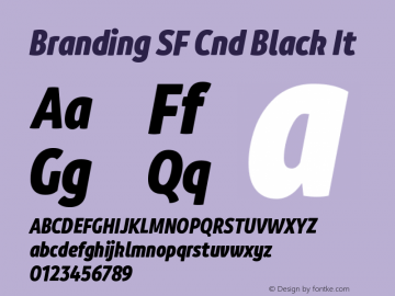 Branding SF Cnd Black It Version 1.000;hotconv 1.0.109;makeotfexe 2.5.65596 Font Sample