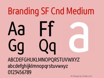 Branding SF Cnd Medium Version 1.000;hotconv 1.0.109;makeotfexe 2.5.65596 Font Sample