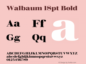 Walbaum18pt-Bold Version 1.00 Font Sample