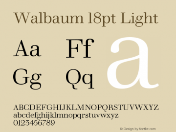 Walbaum18pt-Light Version 1.00 Font Sample
