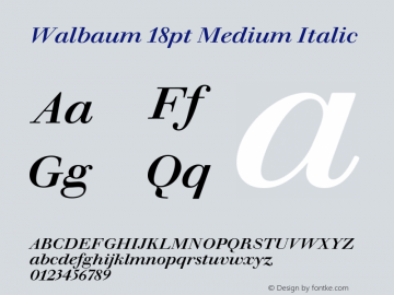 Walbaum18pt-MediumItalic Version 1.01 Font Sample