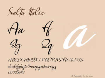 Salta Italic Version 1.00;November 4, 2020;FontCreator 13.0.0.2683 64-bit图片样张