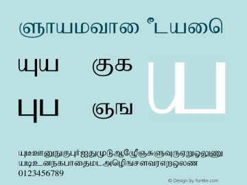 Shakthi Plain 1.0 Thu May 24 11:19:32 2001图片样张