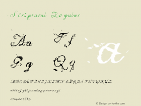 Scriptural Regular 001.000图片样张