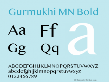 Gurmukhi MN Bold 14.0d4e2 Font Sample