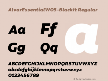 Alvar Essential W05 Black It Version 1.00 Font Sample