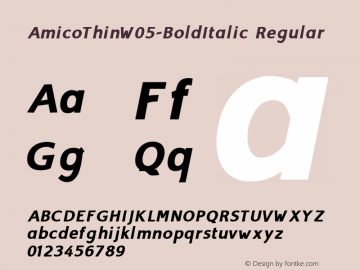 Amico Thin W05 Bold Italic Version 1.00 Font Sample