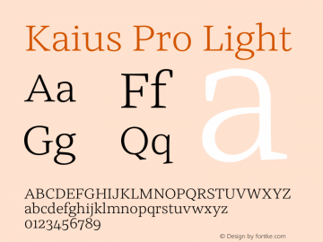 Kaius Pro Light Version 1.000图片样张