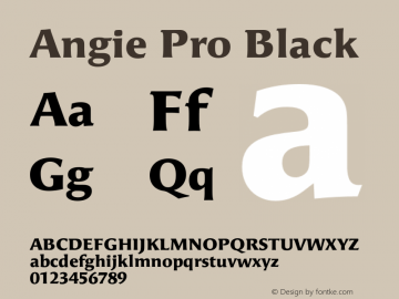 AngiePro-Black Version 7.504; 2010; Build 1003 Font Sample