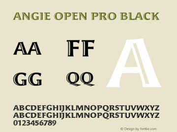 AngieOpenPro-Black Version 7.504; 2010; Build 1005图片样张