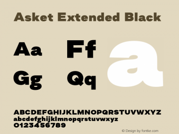AsketExtended-Black 001.000图片样张