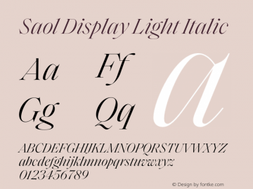 Saol Display Light Italic Version 1.001;hotconv 1.0.109;makeotfexe 2.5.65596图片样张