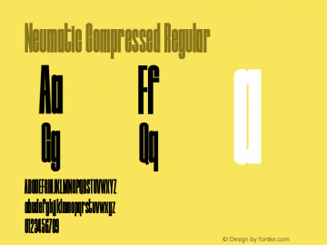 Neumatic Compressed Regular Version 1.002 | wf-rip DC20190725图片样张