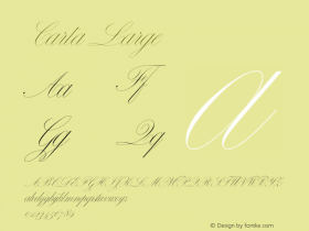 Carta Large V�e�r�s�i�o�n� �1�.�0�0�0�;�h�o�t�c�o�n�v� �1�.�0�.�1�1�4�;�m�a�k�e�o�t�f�e�x�e� �2�.�5�.�6�5�5�9�9 Font Sample