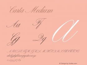 Carta Medium V�e�r�s�i�o�n� �1�.�0�0�0�;�h�o�t�c�o�n�v� �1�.�0�.�1�1�4�;�m�a�k�e�o�t�f�e�x�e� �2�.�5�.�6�5�5�9�9 Font Sample