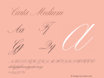 Carta Medium V�e�r�s�i�o�n� �1�.�0�0�0�;�h�o�t�c�o�n�v� �1�.�0�.�1�1�4�;�m�a�k�e�o�t�f�e�x�e� �2�.�5�.�6�5�5�9�9图片样张