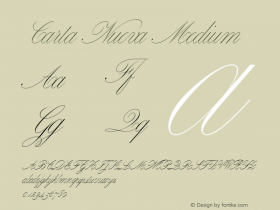 Carta Nueva Medium V�e�r�s�i�o�n� �1�.�1�0�0�;�h�o�t�c�o�n�v� �1�.�0�.�1�1�4�;�m�a�k�e�o�t�f�e�x�e� �2�.�5�.�6�5�5�9�9 Font Sample