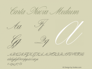 Carta Nueva Medium V�e�r�s�i�o�n� �1�.�1�0�0�;�h�o�t�c�o�n�v� �1�.�0�.�1�1�4�;�m�a�k�e�o�t�f�e�x�e� �2�.�5�.�6�5�5�9�9图片样张