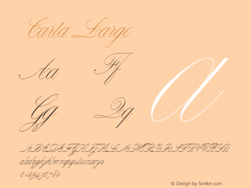 Carta Large V�e�r�s�i�o�n� �1�.�0�0�0�;�h�o�t�c�o�n�v� �1�.�0�.�1�1�4�;�m�a�k�e�o�t�f�e�x�e� �2�.�5�.�6�5�5�9�9图片样张