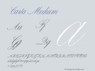 Carta Medium V�e�r�s�i�o�n� �1�.�0�0�0�;�h�o�t�c�o�n�v� �1�.�0�.�1�1�4�;�m�a�k�e�o�t�f�e�x�e� �2�.�5�.�6�5�5�9�9图片样张