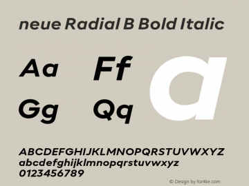 neue Radial B Bold Italic Version 1.000;hotconv 1.0.109;makeotfexe 2.5.65596图片样张