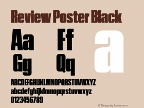 Review Poster Black Version 1.001 2020 | wf-rip DC20201005图片样张
