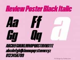 Review Poster Black Italic Version 1.001 2020 | wf-rip DC20201005图片样张
