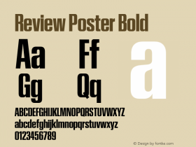 Review Poster Bold Version 1.001 2020 | wf-rip DC20201005图片样张