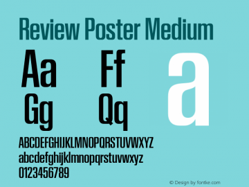 Review Poster Medium Version 1.001 2020 | wf-rip DC20201005图片样张
