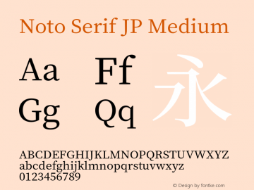 Noto Serif JP Medium Version 1.001;PS 1.001;hotconv 16.6.54;makeotf.lib2.5.65590 Font Sample