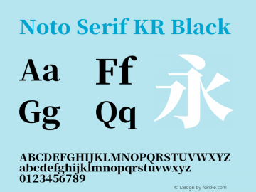 Noto Serif KR Black Version 1.001;PS 1.001;hotconv 16.6.54;makeotf.lib2.5.65590 Font Sample