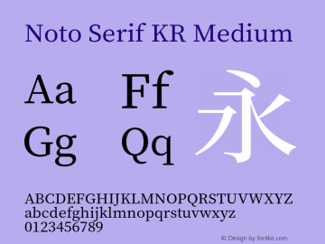 Noto Serif KR Medium Version 1.001;PS 1.001;hotconv 16.6.54;makeotf.lib2.5.65590 Font Sample