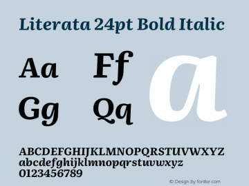 Literata 24pt Bold Italic Version 3.002 Font Sample