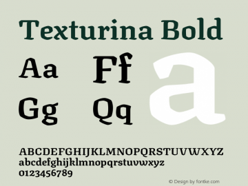 Texturina Bold Version 1.002 Font Sample