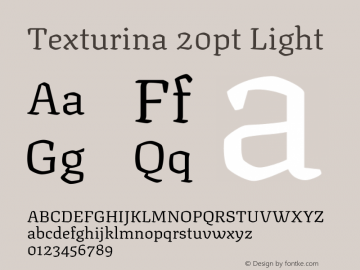 Texturina 20pt Light Version 1.002图片样张
