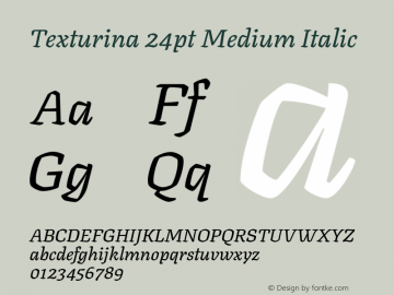 Texturina 24pt Medium Italic Version 1.002 Font Sample