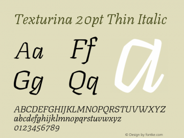 Texturina 20pt Thin Italic Version 1.002图片样张