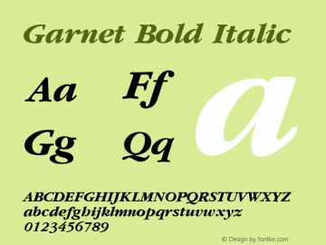 Garnet Bold Italic Publisher's Paradise -- Media Graphics International Inc. Font Sample