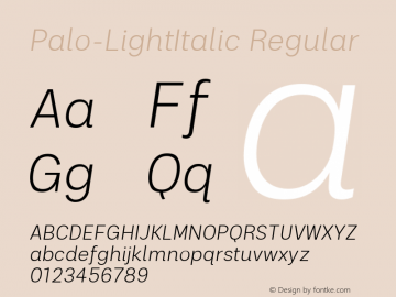 Palo Light Italic Version 1.000;hotconv 1.0.109;makeotfexe 2.5.65596;com.myfonts.easy.typeunion.palo.light-italic.wfkit2.version.5z2H Font Sample