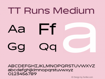 TT Runs Medium Version 1.000图片样张