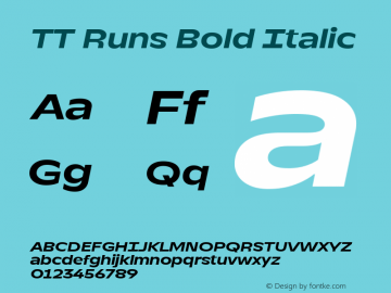 TT Runs Bold Italic Version 1.000图片样张