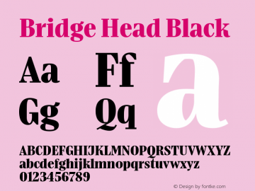 Bridge Head Black Version 1.000;hotconv 1.0.109;makeotfexe 2.5.65596图片样张
