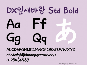 DX잎새바람 Std Bold Version 1.0图片样张