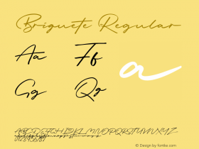 Briquete Version 1.00;November 24, 2020;FontCreator 12.0.0.2560 64-bit Font Sample