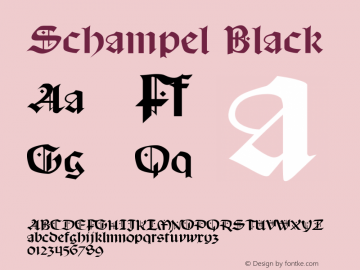 Schampel Black 001.034图片样张
