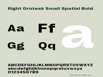 Right Grotesk Small Spatial Bold Version 2.500图片样张